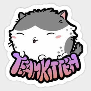 Team Kitteh Sticker